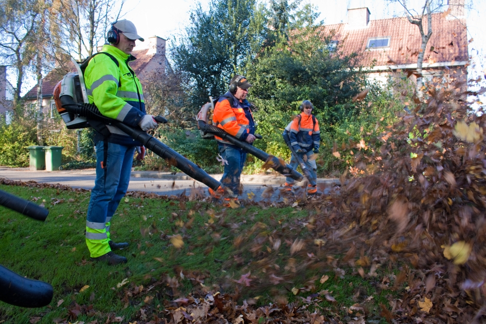 RMN volop bezig met bladactie
